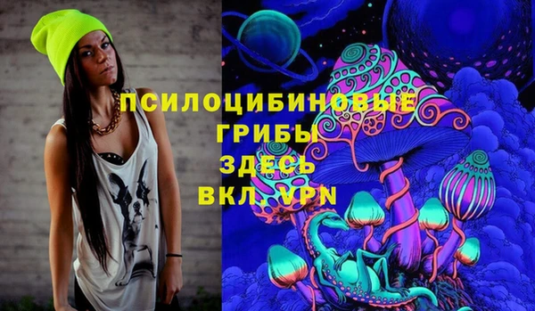 ПСИЛОЦИБИНОВЫЕ ГРИБЫ Алексеевка